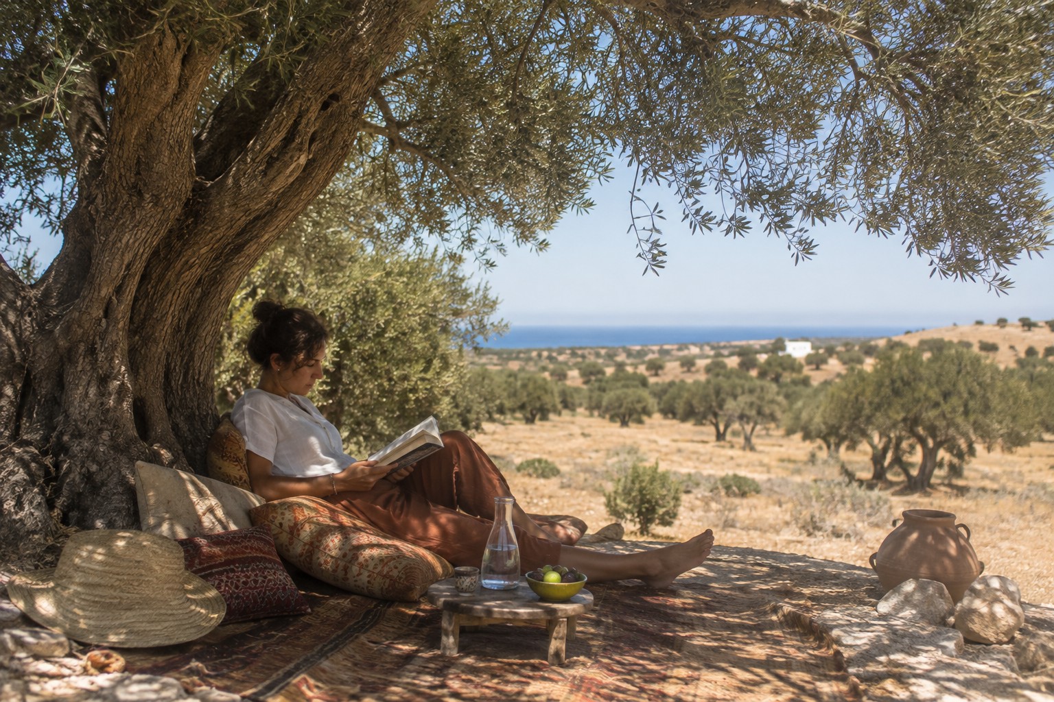 A guest reading or resting in dappled shade beneath an olive tree. Quiet, unposed.